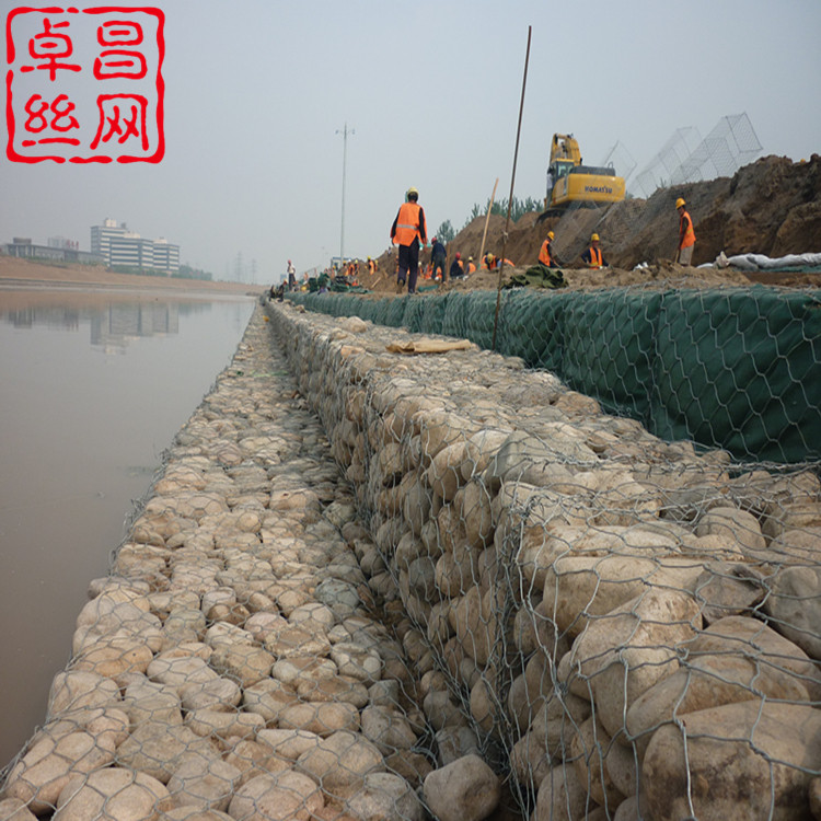 1609118977623065917.jpg 1609118977623065917.jpg