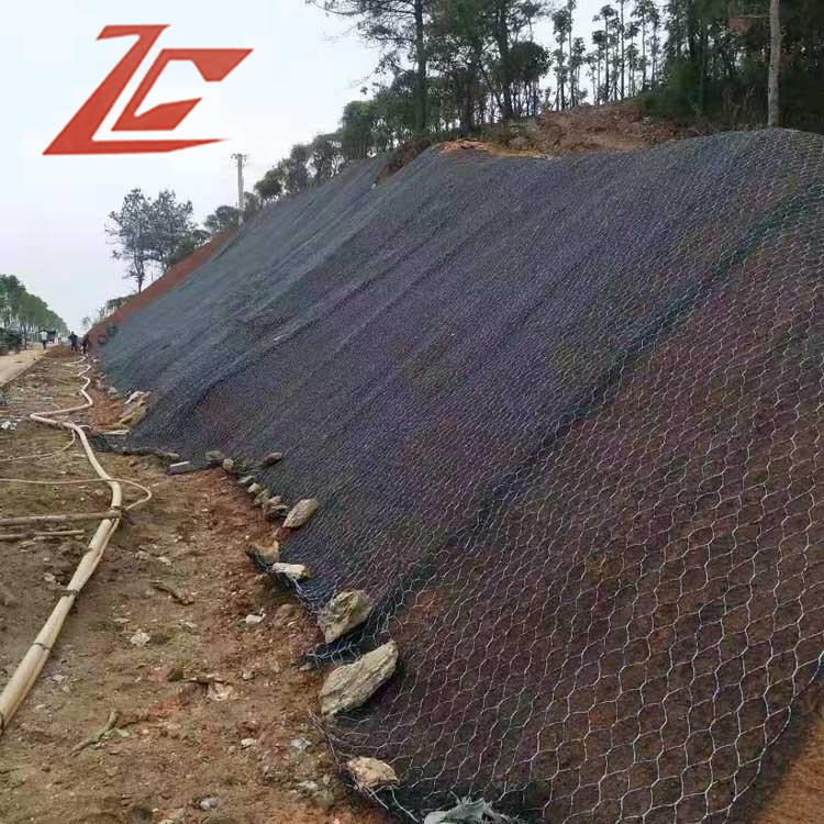 1616723487784099632.jpg 1279.jpg