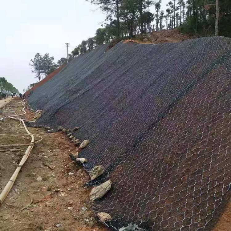 1617843224316095174.jpg 1279.jpg