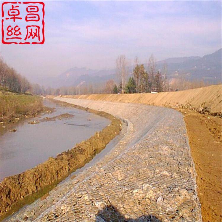 1621561059188085727.jpg 卓昌 (429).jpg