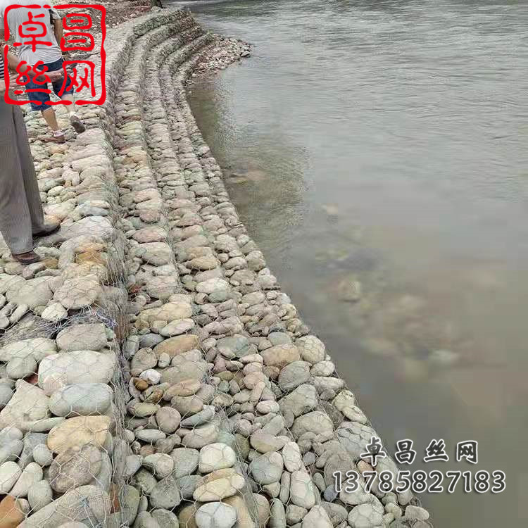 1645408810690079047.jpg 1784(500)_副本.jpg