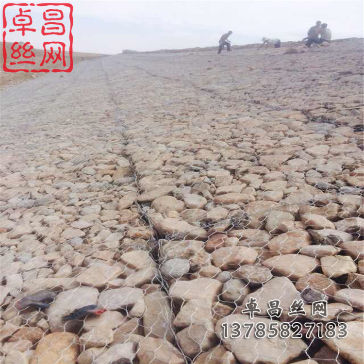 1647220323520094490.jpg 1375.jpg