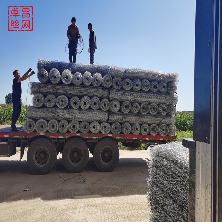 1647565440707026697.jpg 加筋網_副本_副本.jpg