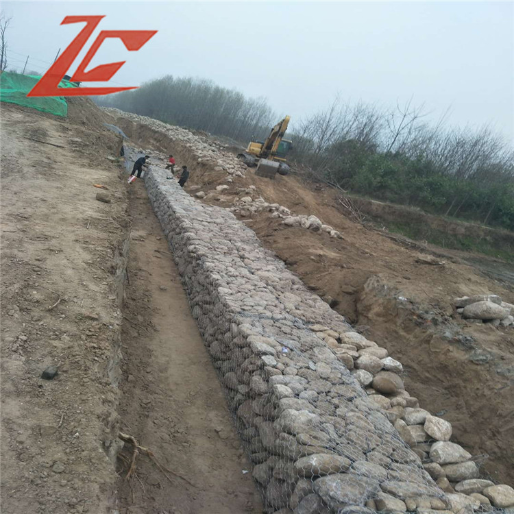 1648948211509042657.jpg 1543-50.jpg