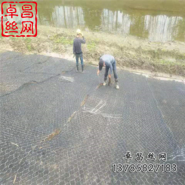 1649900576594016565.jpg 1784(612).jpg