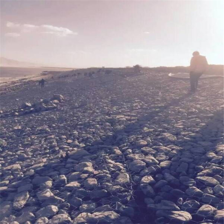 1656205963074044370.jpg 卓昌 (580).jpg