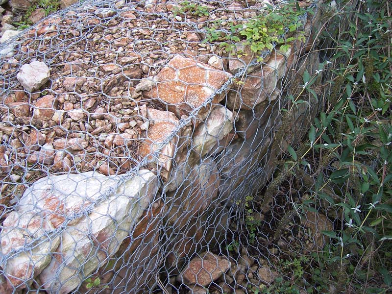 1656813155174050845.jpg 200.jpg