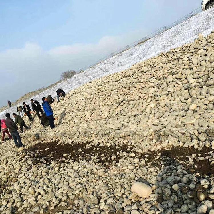 1657847523713071053.jpg 1782(56).jpg