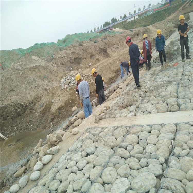 1658627227055048270.jpg 1769 (126).jpg