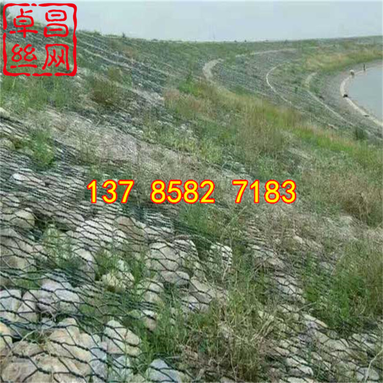 1661305727456025330.jpg 1740 (4).jpg