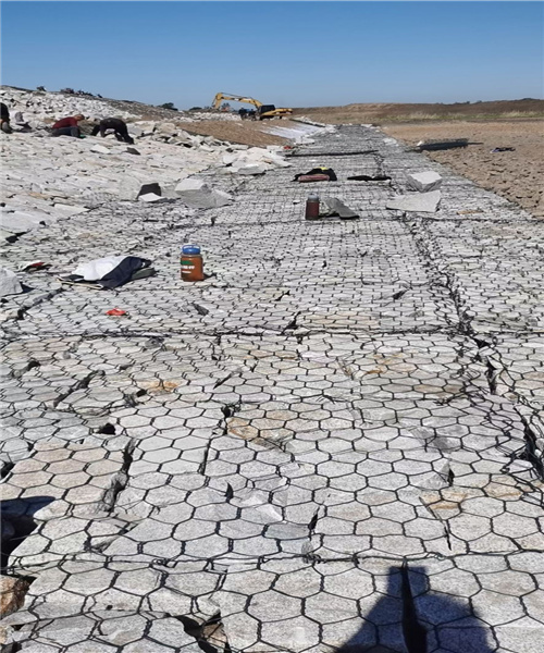 1678068799385027133.jpg 1784(73).jpg