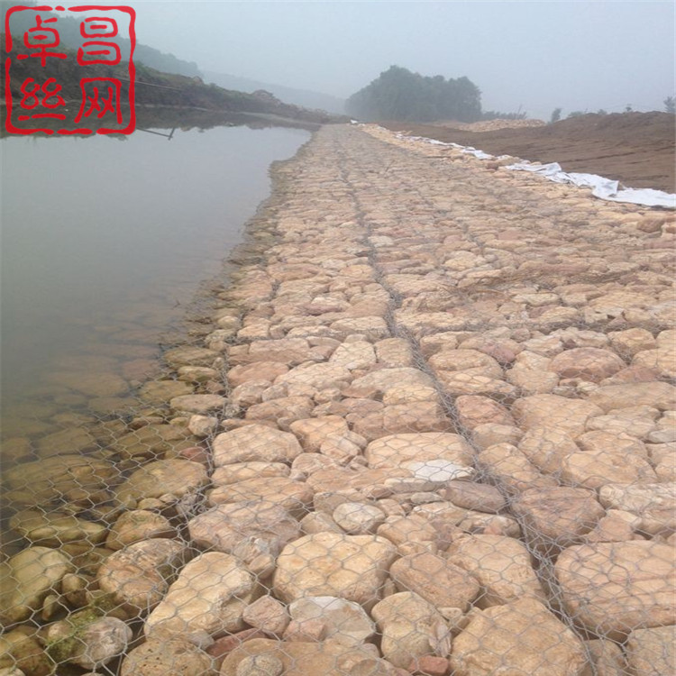 1703470161904032646.jpg 1467.jpg