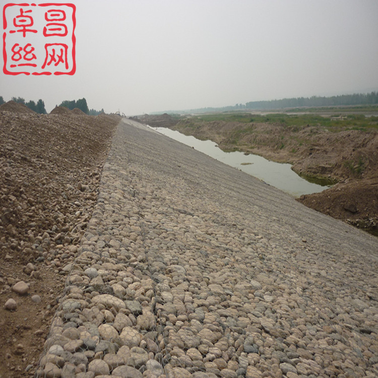 1704763996310048225.jpg 961_副本.jpg